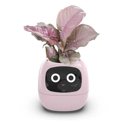 Smart Planter