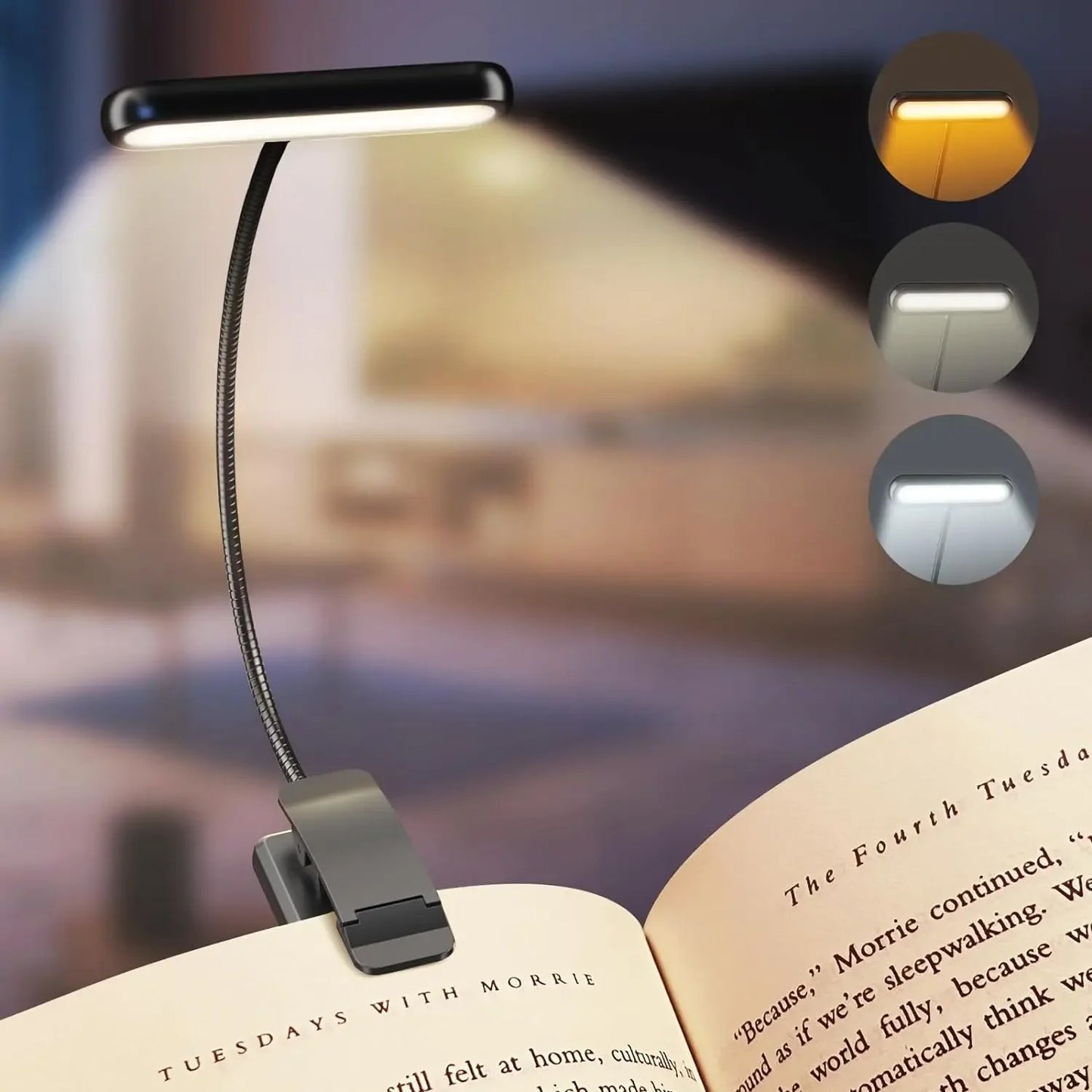 Book Light USB