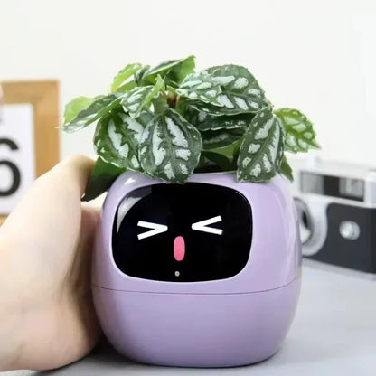 Smart Planter