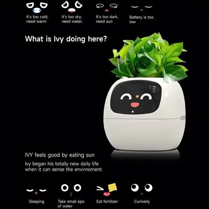 Smart Planter