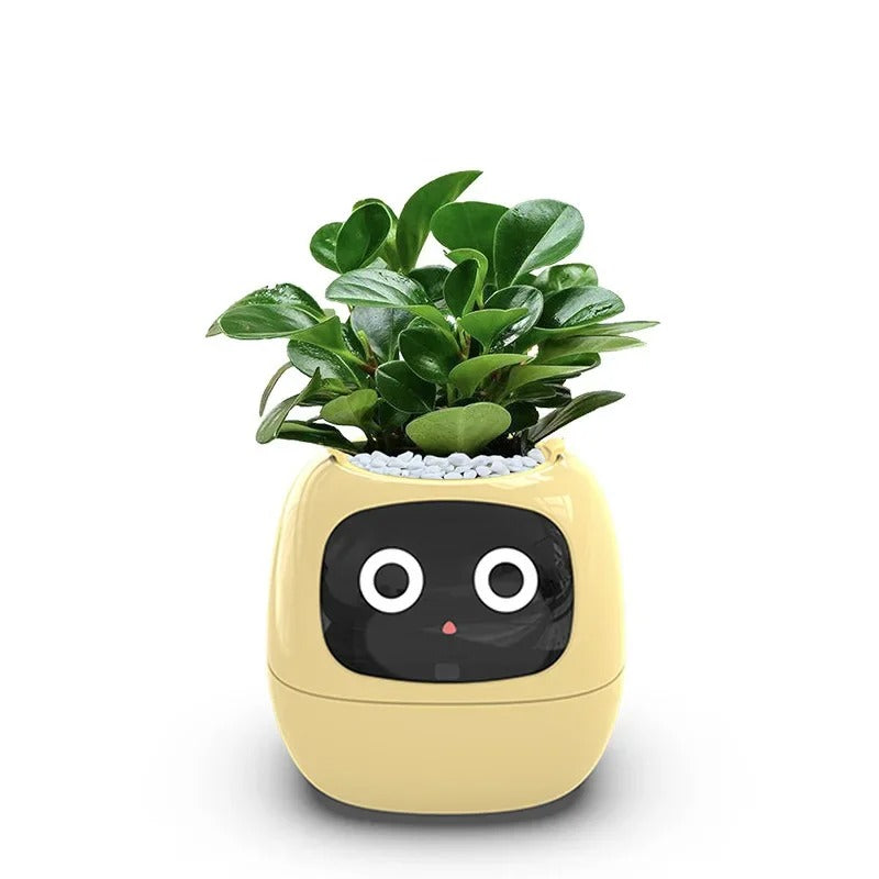 Smart Planter