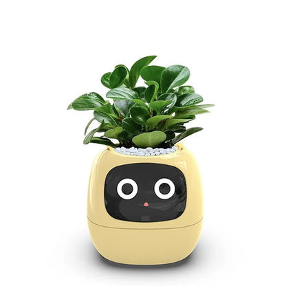 Smart Planter